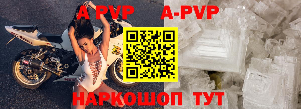 Alfa_PVP СК КРИС Калуга