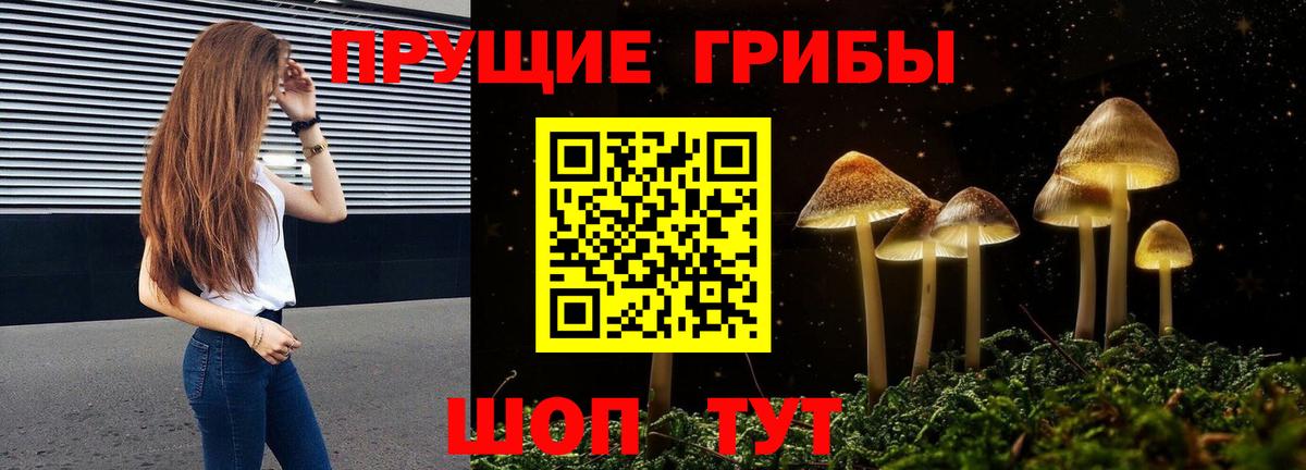 наркотики  Вход с VPN  Калуга  Галлюциногенные грибы Psilocybine cubensis  Галлюциногенные грибы GOLDEN TEACHER 